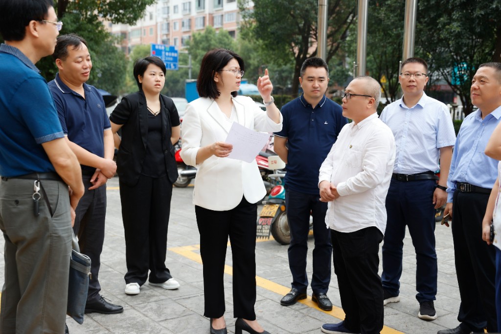 丁芬赴衡山县参加市人大代表小组活动并督查信访、安全生产和校园食品安全工作