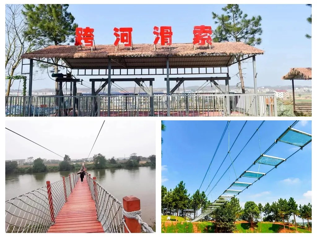 站在玻璃桥上,高空的独特视角,让清花湾美景一览无余