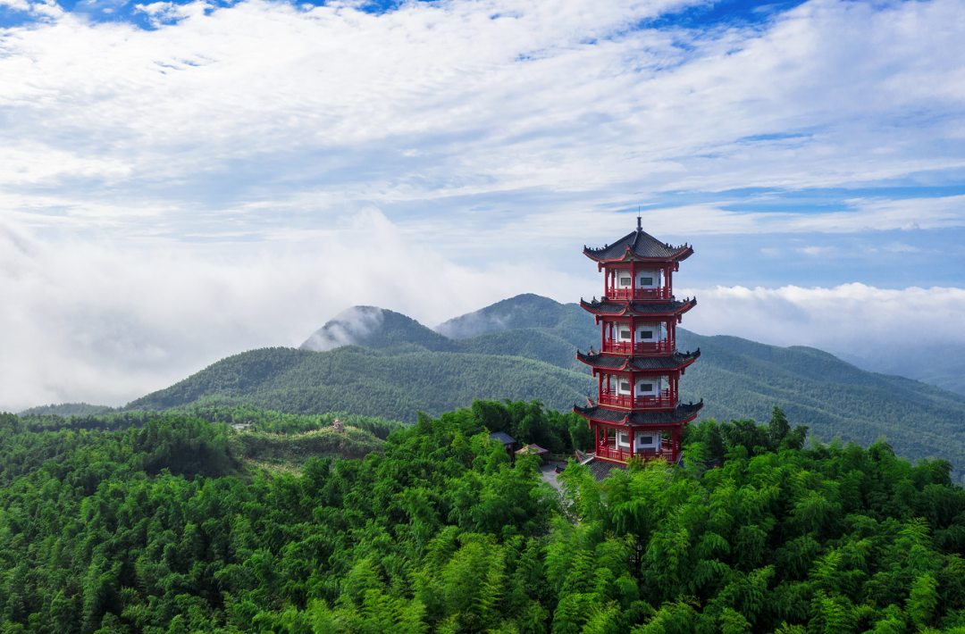 小康相册·醉美衡阳——蔡伦竹海